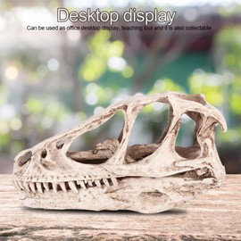Culnflun Dinosaur Skull Model Realistic Resin Craft Home Office Decoration Teaching Prop for Enthusiasts