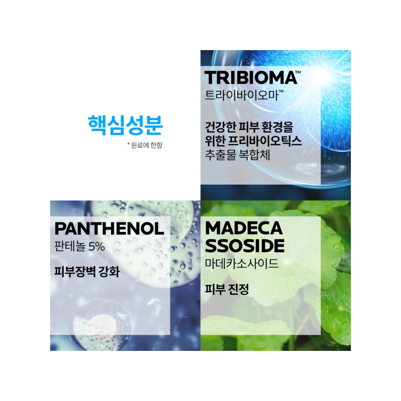 Laroche-Posay 시카플라스트 멀티 리페어 크림 100ml x 2 Shikai Plast