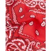 Boolavard 1s, 6s, 9s o 12 paquetes de bandana de