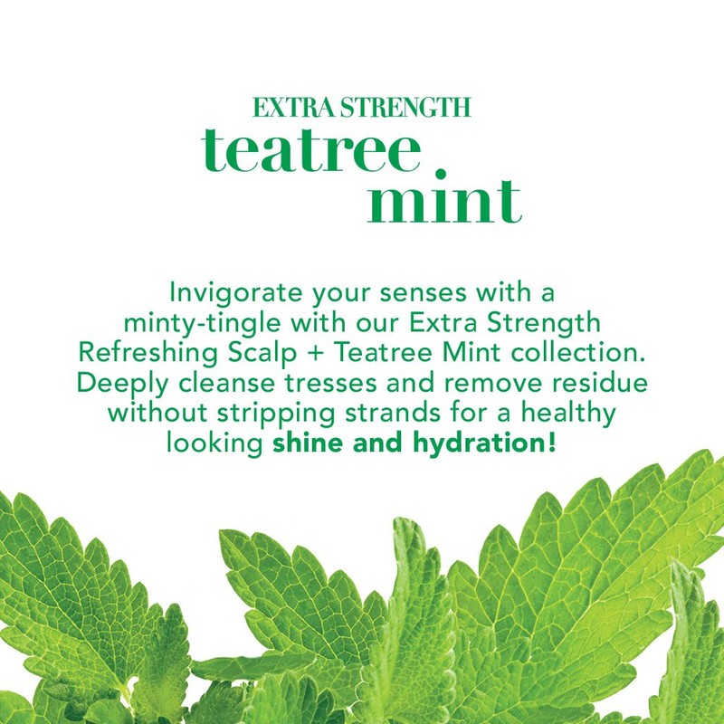 OGX Extra Strength Refreshing Scalp + Tea Tree Mint Conditioner,