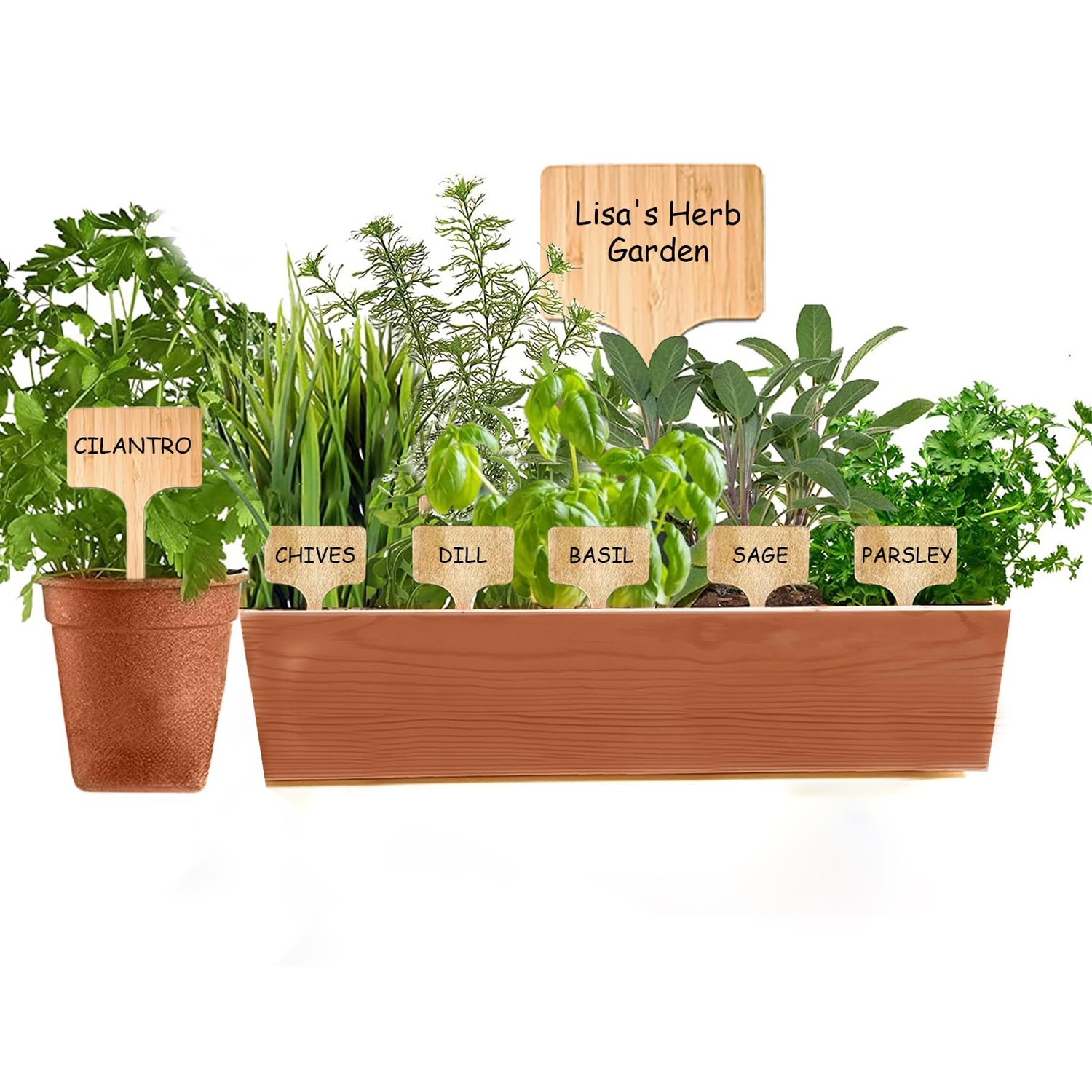 10 Pack 12 Inch Extra Tall Plant Labels Large Garden Markers Plant Name ...