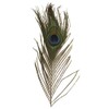 RAYHER – 25 cm – Set of 3 – Peacock