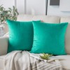 Phantoscope Pack of 2 Velvet Decorative Throw Pillow Covers Soft