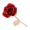 Rose Dipped in 24k Gold Forever Preserved Long Stem Rose