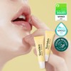 Torriden Solid In Ceramide Lip Essence 11mL 1+1 - Torriden