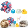 Toys for Hedgehogs Small Animal Accessories, Cute Hedgehog Toys, Ball