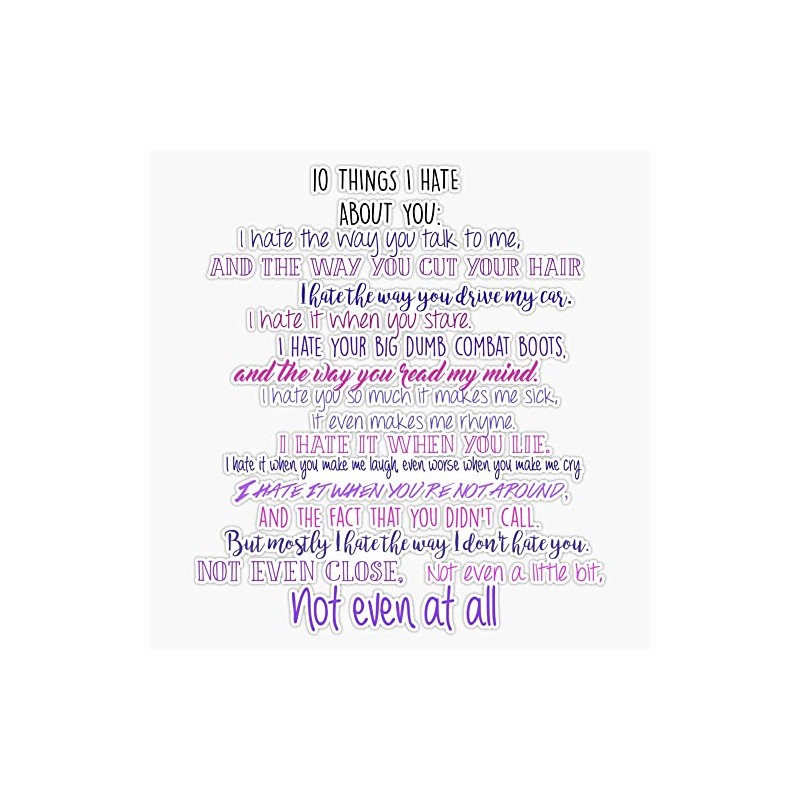 10 Things I Hate about You Bumper Sticker Vinyl Decal