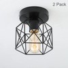 Semi Flush Mount Ceiling Light, 2 Pack Black Cage Ceiling