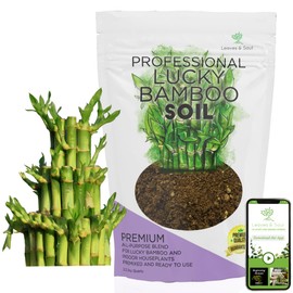 Professional Lucky Bamboo Soil | Large 2.2 Quarts Ready to Use for Lucky Bamboo plants | Peat Moss, Coco Coir, Perlite, Dolomite | Made in USA
