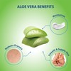 Lovercare Goat's Milk Shower Cream Aloe Vera 1.2 L