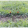 Royal Gardineer Accessories for Greenhouse Irrigation: 23-Piece Plant Irrigation System,