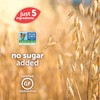 Beech-Nut Naturals Fruity Oat Bars, Stage 4, Strawberry, 5 Simple