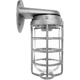 RAB Lighting VBR100DG Vaporproof Glass Globe Cast Guard Incandescent Fixtures with Wall Mount Bracket, A19 Type, Aluminum, 150W Power, Natural