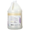 Ginger Lily Farms Botanicals All-Purpose Liquid Hand Soap Refill, Fragrance
