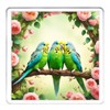 Budgerigar Coaster Set. 4 different Budgie Pictures on 10cm x