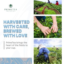 Prime Tea - Premium Assam TGFOP1 - Grade Black Loose Leaf Tea, Exquisitely Strong, Malty & Rich Flavor, 100% Organic, Pure Unblended, Single Origin, Luxurious Loose-Leaf - 4 Ounce