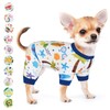 Dog Pajamas for Small Dogs Girl Boy Puppy Pjs Summer