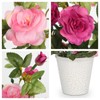 Hollyone Artificial Plants & Flowers in Vase Red Roses Small