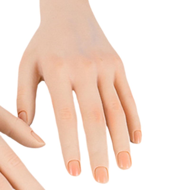 Colcolo Mannequin Hand Realistic Female Hand Practice Model for Beginners