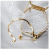 Women's Anklet, Gold, Fine, Snake Chain, Stainless Steel, Hypoallergenic, Friends,