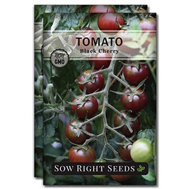 Sow Right Seeds - Black Cherry Tomato Seeds for Planting - Non-GMO Heirloom Packet with Instructions to Plant a Home Vegetable Garden - Tasty Snacking Variety, Start Indoors - Indeterminate (2)
