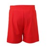 Guard Swim Trunks w/Compression Liner (Large, Red)