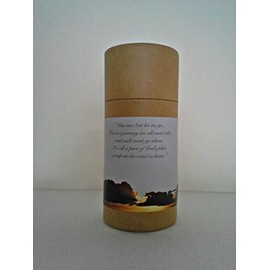 One Child/Pet -Natural Biodegradable Cremation Scattering Tube w/Telescopic Lid & Instructions (Style: Heavenly) C