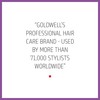 Goldwell Dualsenses Blondes & Highlights Anti-Yellow Shampoo 300ml