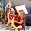 GothicBride Pack of 6 Dog Toys Christmas, Gift Christmas Includes