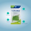 Cool Shock | Flossers de Té Verde y Menta. 4