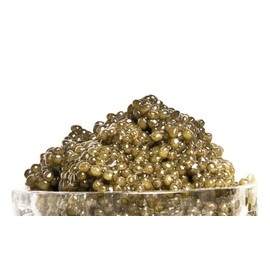 Kaluga Caviar, 1-Ounce Jar