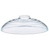 HARIO F-MN-225 Glass Lid for Soil Pots, Glass Lid