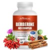 JUYIHEAL Berberine with Ceylon Cinnamon, Turmeric, Milk Thistle, Artichoke, Black