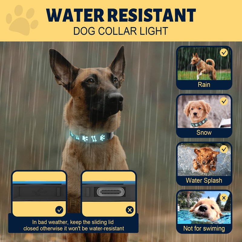 TOPOTO Dog Collar Light, 3D Design Light Up Dog Collars,