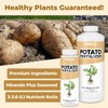 Potato Fertilizer – Liquid Plant Food for Bigger Tubers, Stronger