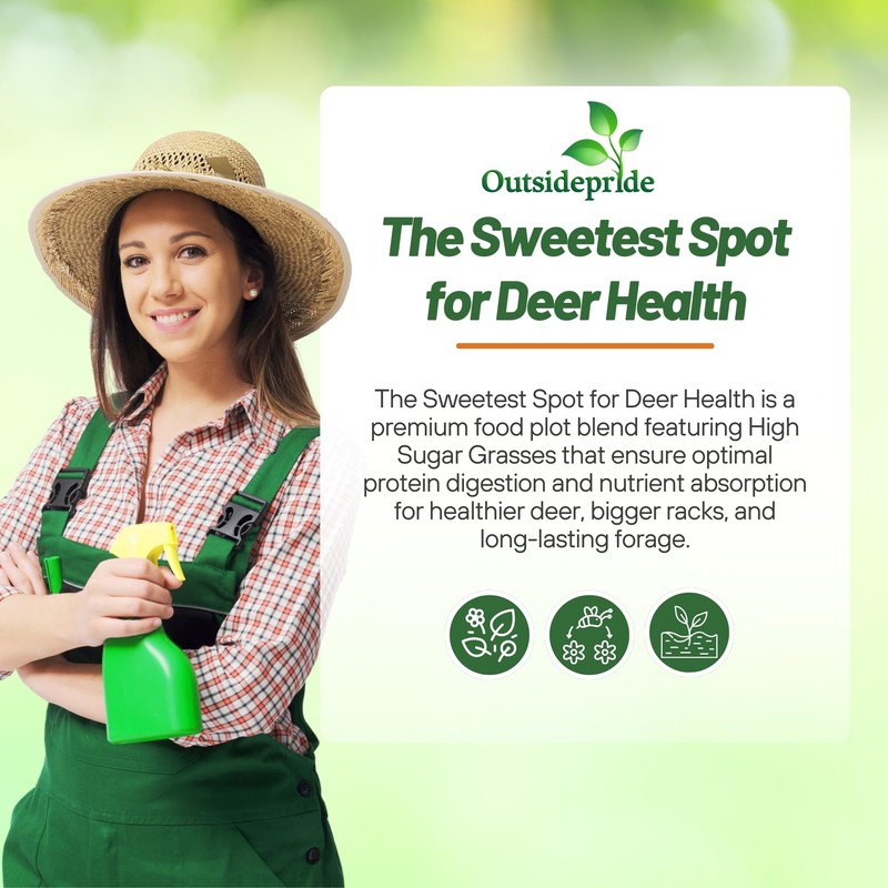 Outsidepride Southern Sweet Spot Seed - 20 lb. Annual, Versatile,