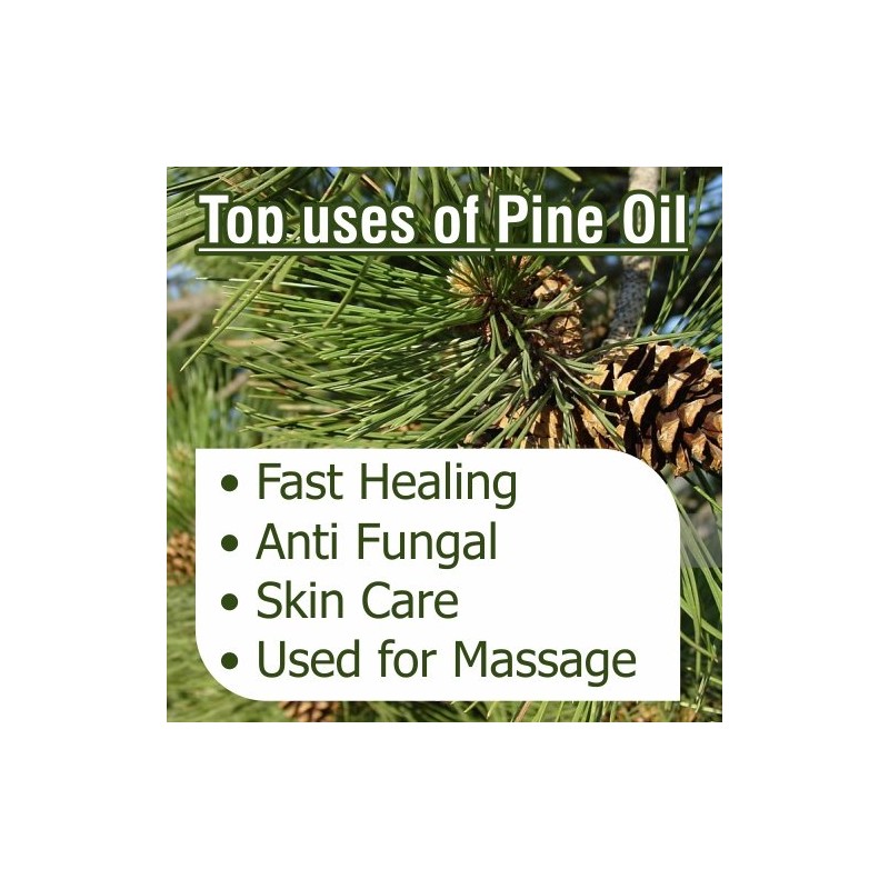 Salvia Pine (Pinus Sylvestris) Essential Oil Pure & Natural -