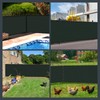 Kesfitt Fence Privacy Screen,5X50FT Heavy Duty 170GSM Fence Covering Privacy