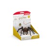 schleich 13987 Aragog, from 6 years Wizarding World - Figurine,