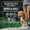 Advecta Ultra Flea and Tick Prevention for Dogs, Dog Flea