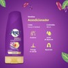 PERT, Acondicionador Keratina Cabello fuerte, flexible y resistente a agresiones