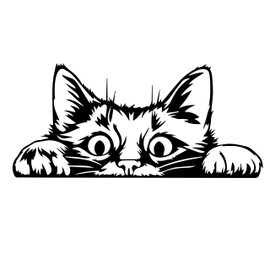 Kitten Peeker Decal for Cars, Trucks, Laptops - Cat Peeker Sticker, Kitty Peeker Decal
