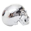 Mendler Decorative Skull HWC-T921, Polyresin Sculpture Skull, Indoor/Outdoor 18 cm,