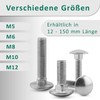 DSM - Carriage Bolts M6 x 45 mm DIN 603