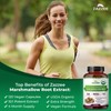 Zazzee USDA Organic Marshmallow Root 10:1 Extract, 3000 mg Strength,