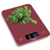Ozeri Touch Professional Tempered Glass Digital Kitchen Scale, Red Engine