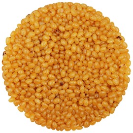 Smarty Stop Jelly Beans Every Flavor Candy (2 Pound (Pack of 1), Salted Caramel)