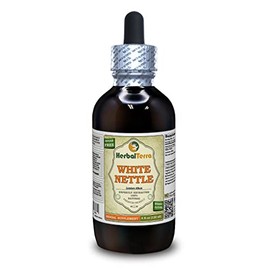 White Nettle (Lamium Album) Tincture, Dried Leaves Liquid Extract (Brand Name: HerbalTerra, Proudly Made in USA) 4 fl.oz (120 ml)