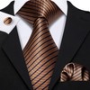 Barry.Wang Corbata clásica de seda para hombre, corbata de regalo