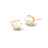 Kendra Scott Ashton Gold Pearl Stud Earrings, Fashion Jewelry For